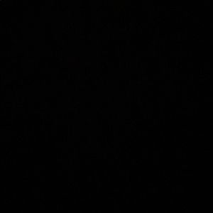 Meet your Posher, Tyla